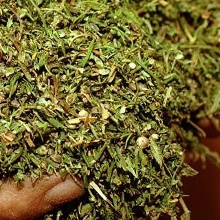 Freeman806's tweet image. Have you gotten you Best 2015 top strains.