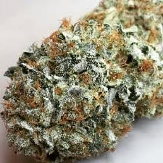 Freeman806's tweet image. Have you gotten you Best 2015 top strains.