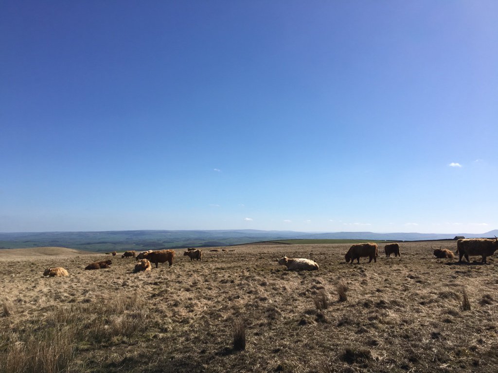 PVG Farm Team tweet media