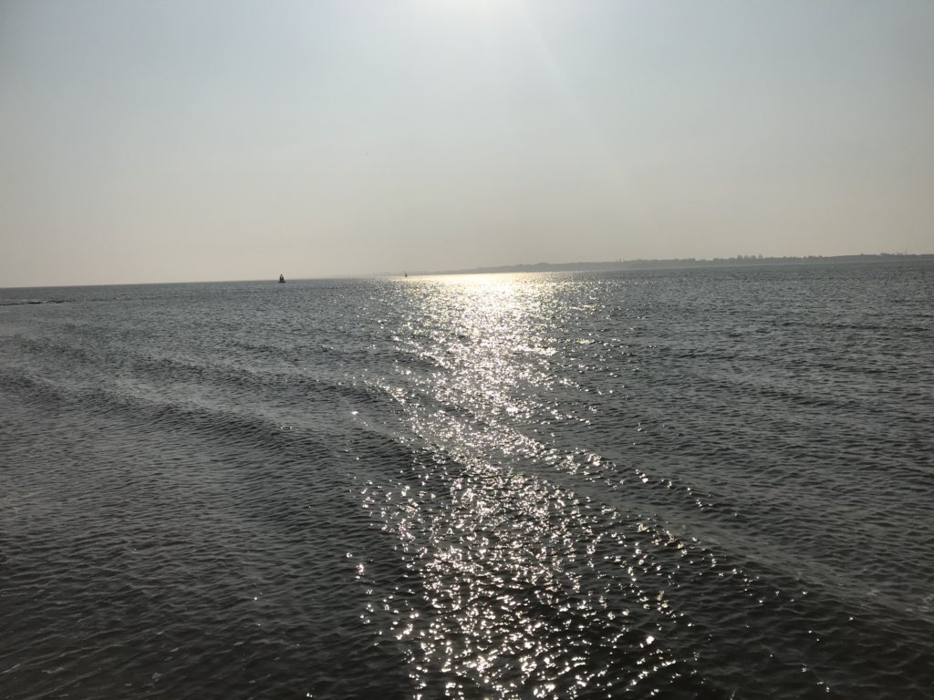JayneLoveday01's tweet photo. My happy place! #Peaceful #Serene #Languard #Suffolk #SunnyDays https://t.co/QQd22fRiGt