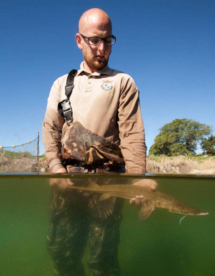 DOICareers's tweet photo. We are #NowHiring a FISH BIOLOGIST @USFWS- Carterville Fish and Wildlife Conservation Office in Wilmington, #Illinois. #JoinDOITeam
Apply ➡️https://t.co/sxXTLYsuU3 🐟 #fisheries #WorkOutdoors #ScientistJobs #BiologistJobs
📷Credit: Doug Canfield https://t.co/X9W99UetD4