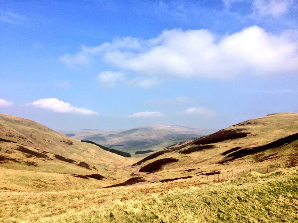 OK so after several hours of mowing on my trusty Murray one half of the lawns looking like this .... Second half to come , and then the verges ....... Ahhh the dreaded verges ............
