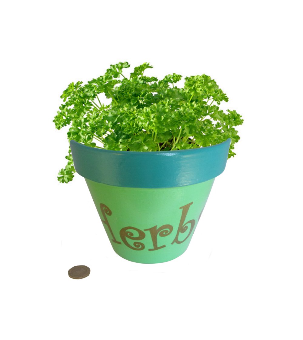 New today: Green Herbs Planter, Painted Terracotta Pot, Plant Pot, Flowerpot, Hand Painted Pot, Gardener Gift, Housewarming Gift, Fathers Mothers Day etsy.me/2HfK1It via <a href="/Etsy/">Etsy</a>
