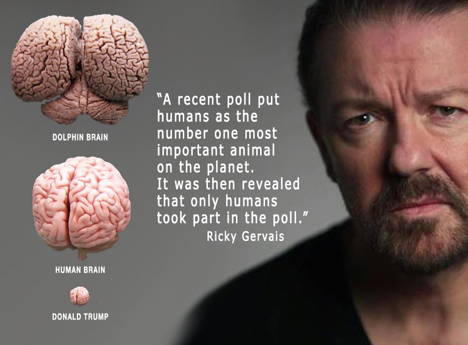 #AnimalRights isn’t an abstract concept.
The opposite is true.
They are very real &amp; endorsed by the highest courts on the ￼🌎.
Admittedly only one species has them at the moment but then only one #species decides who gets them🤔

@RickyGervais nails it much better than me.🐬💕