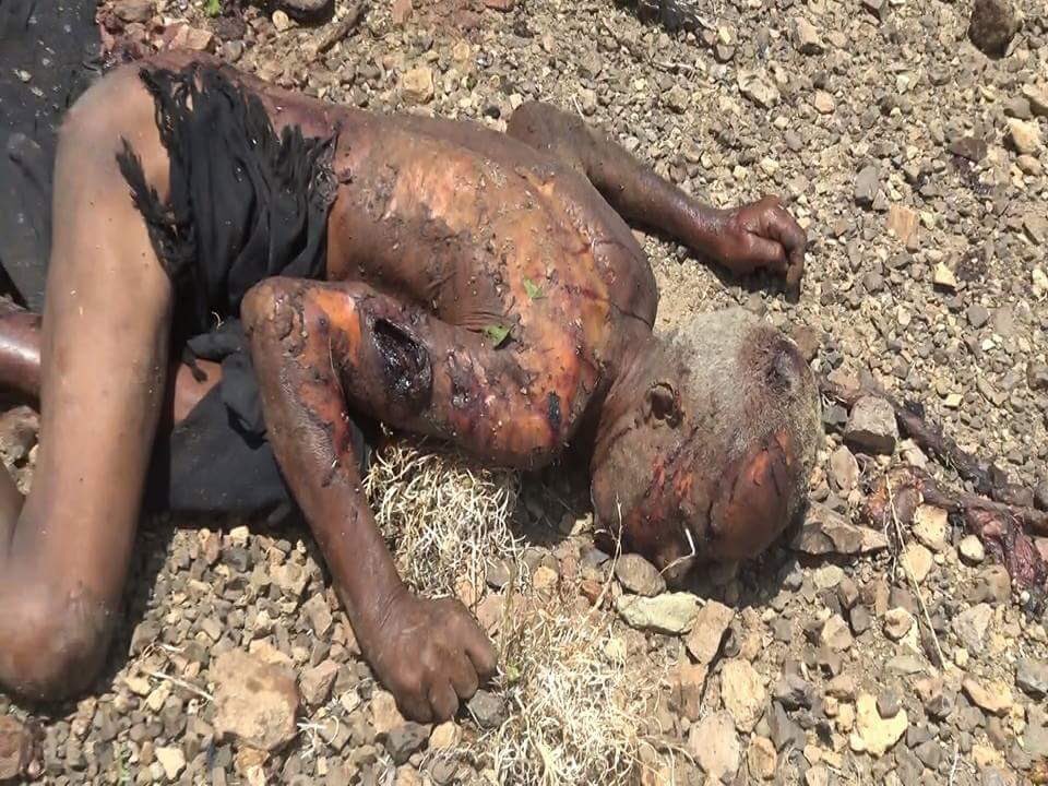 AhmadAlgohbary's tweet photo. WARNING  GRAPHIC Photos of today's new crime by #Saudi led coalition air strikes on 2 cars in Mawzaa area in #Taiz province #Yemen.
The bombardment killed 18 civilians   and injured 3.
#UK and #US still arming Saudi and  the world is watching in silence https://t.co/tqJo3canbc