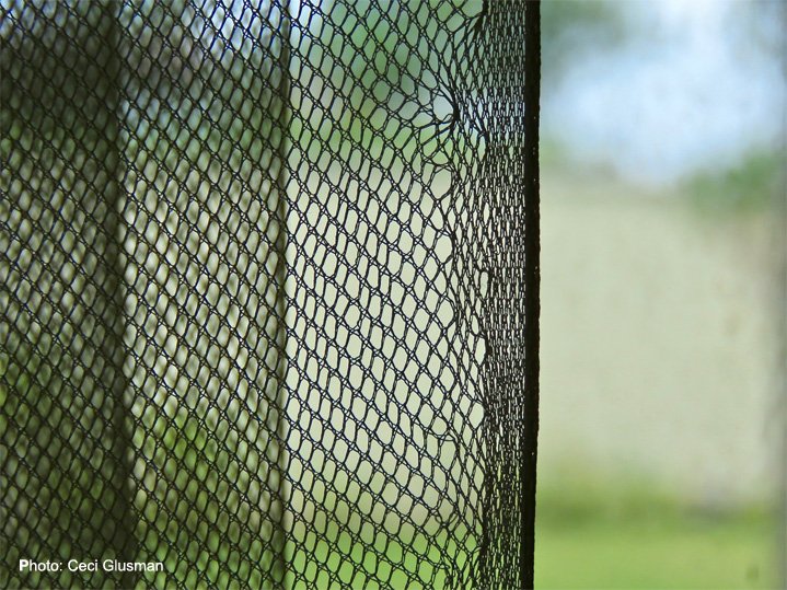 creativityworkshop.com
“Nobody has your unique imagination. Let it out.” The Creativity Workshop