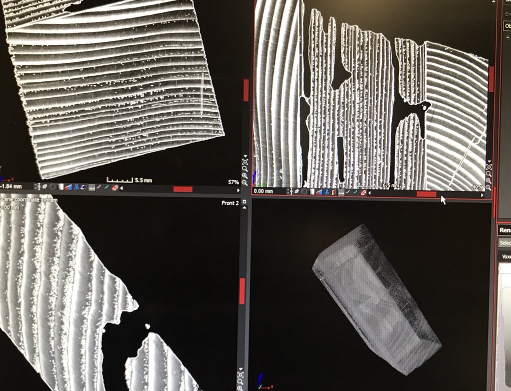 Beth Stokes, PhD tweet media