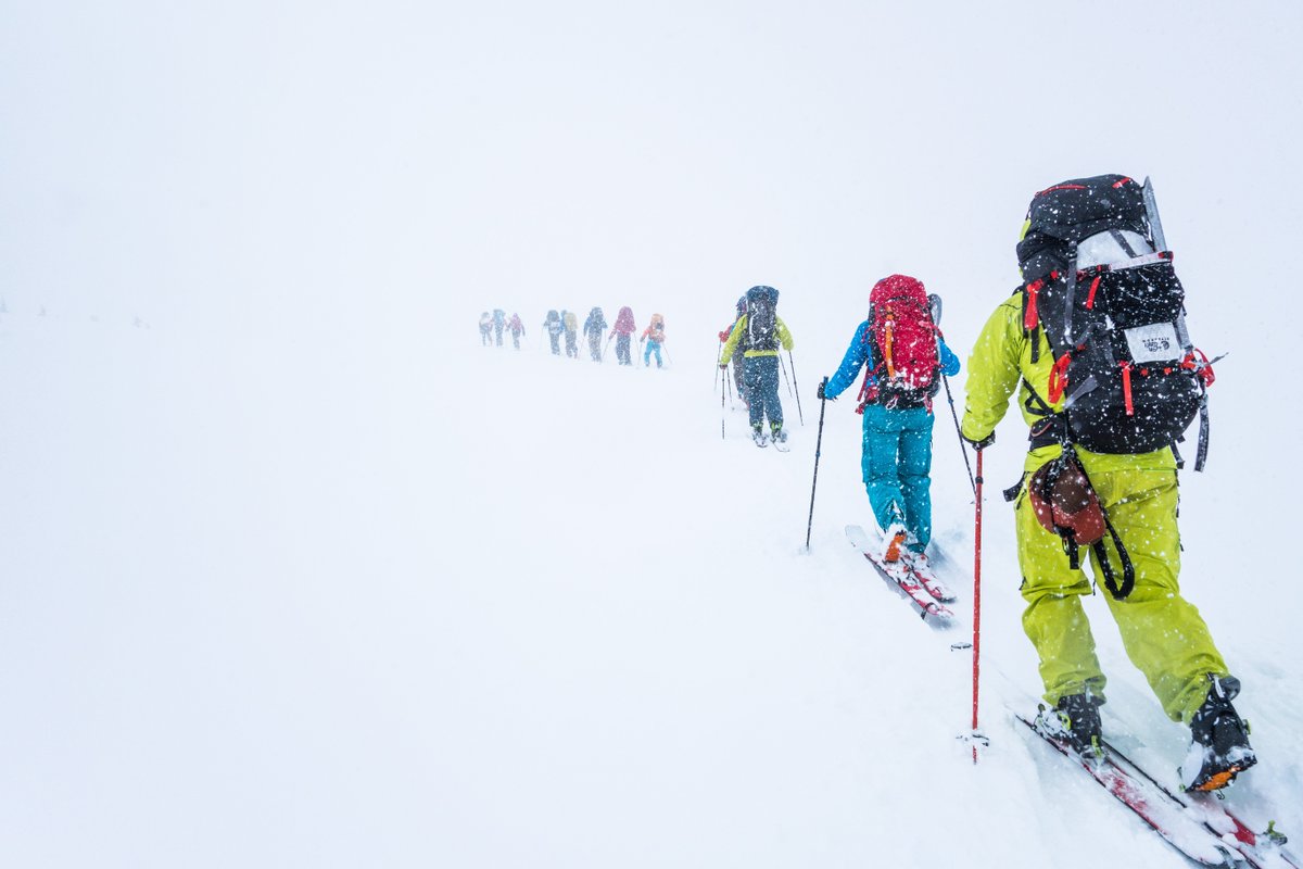 Genuine Guide Gear tweet media