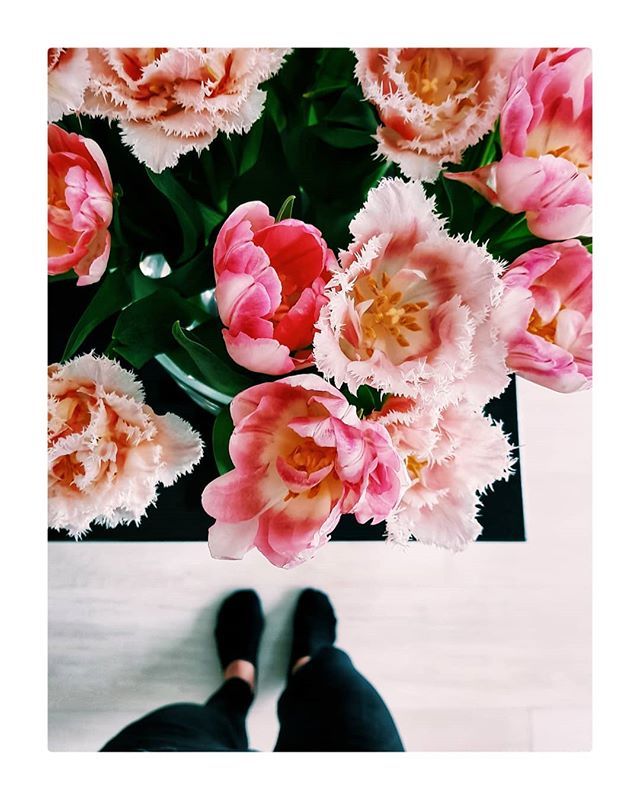 SarahStlz's tweet photo. There is no such thing like fresh flowers.

#flowers #flowerstagram #flowerpower #happyweekend  #flowersareagirlsbestfriend #tulips #pinkshades #naturelover #photography #instagood #weekend #madewithlove #iicflowers #interiors #decoration https://t.co/lHVNTk3Dyi https://t.co/HIUpW5CiC1