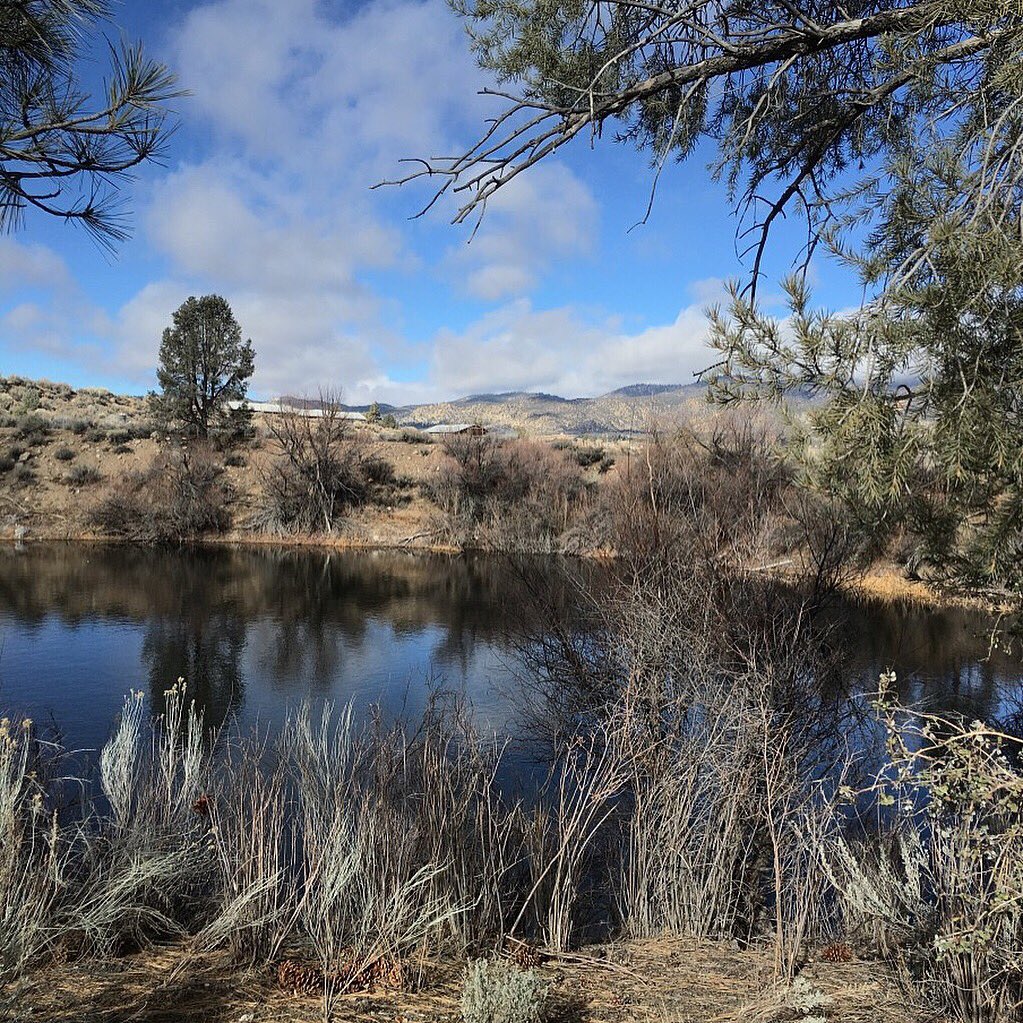 uscout_com's tweet photo. Planning a meditation, yoga or work retreat? This unique 178 acre horse ranch bordering a national forest is available exclusively through Uscout. Email now to book. info@uscout.com #Uscout #retreat #YogaRetreat #WorkRetreat https://t.co/l6kVLuGlcF