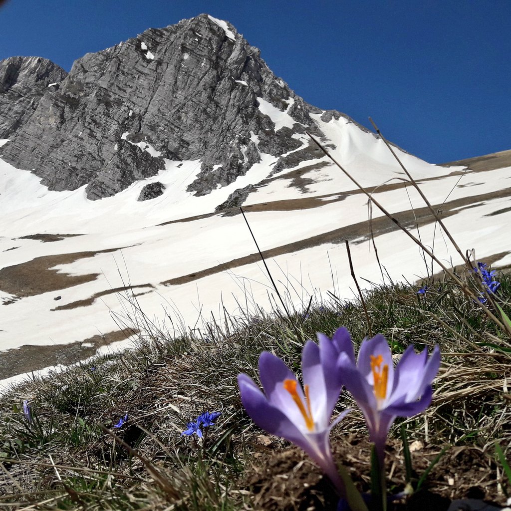 w4bik's tweet photo. Crochi sui #MontiSibillini #trekking #exploringmarche #destinazionemarche https://t.co/B5vEngFOj1