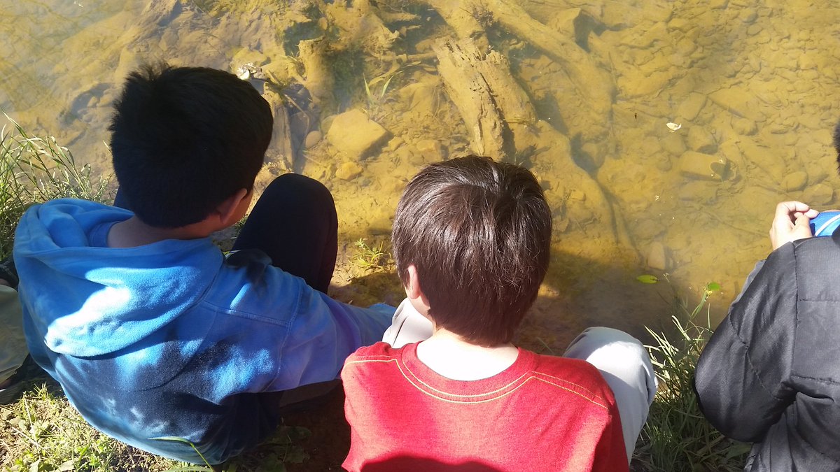 Carson_Jen_E's tweet photo. What a beautiful day to sit by the river and release American Shad fry! #ShadintheClassroom Thank you to @APSounds for your help today! Can't wait to do it again next year! @naturalsciences @NCDEQ @NorthCarolinaEE @NCWildlife @USFWS @NFWFnews https://t.co/RVIvKLliGZ