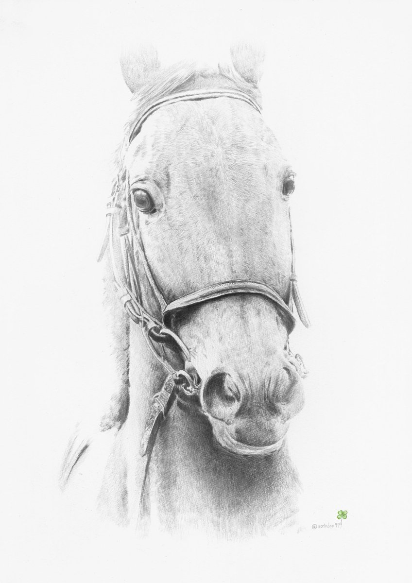 O Xrhsths ぐっちょん Sto Twitter あなたと見つめあう馬 今までの作品で正面をジッと見つめたものを集めてみました 時間が止まったような絵の中でも馬の瞳には吸い込まれそうな魅力がある 闘争心 華麗 清純 純朴 描くたびに言葉にはめようとしても収まり