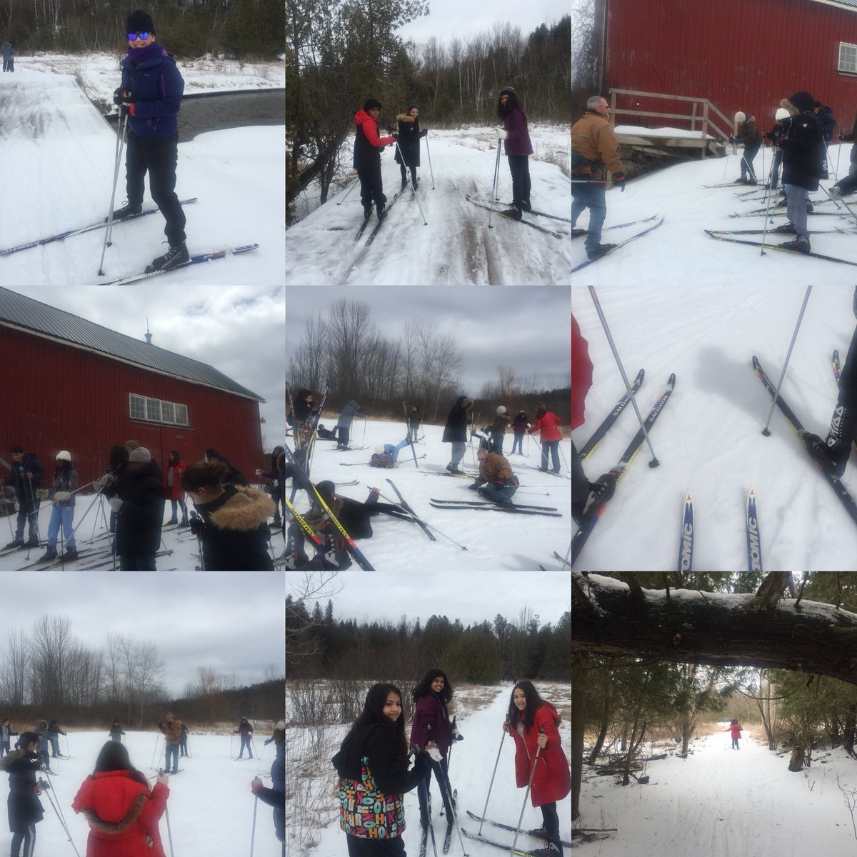 MsYeeGPS's tweet photo. Gr.6 @TDSB_Grenoble students
cross-country skiing...yes, in April!
Many first-timers at this sport and boy did they ever persevere‼️#SheldonCamp #OEC #adventure #play #outdoors #outdooreducationcentre https://t.co/HUld4BpFtd