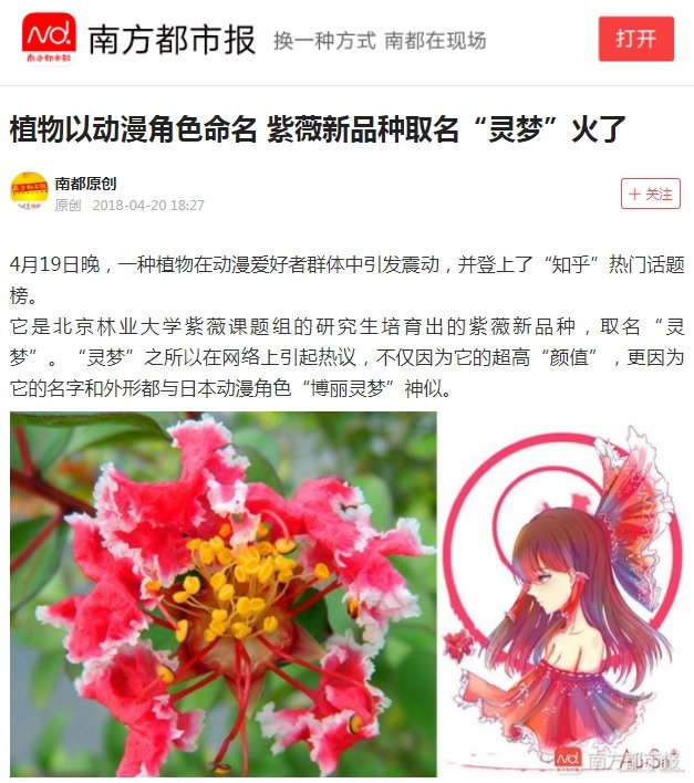 らい 中国の新種の花の名前が霊夢って こりゃ霊夢だ T Co Cimgijhebg Twitter