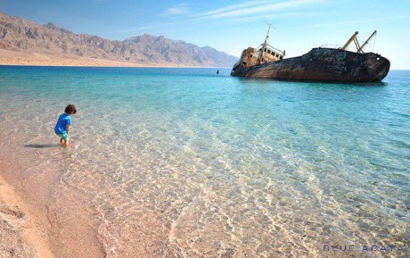 AL_ARJAH's tweet photo. KSA

السعودية من جهات مختلفة 🇸🇦💘 https://t.co/f5DQAmYeOW