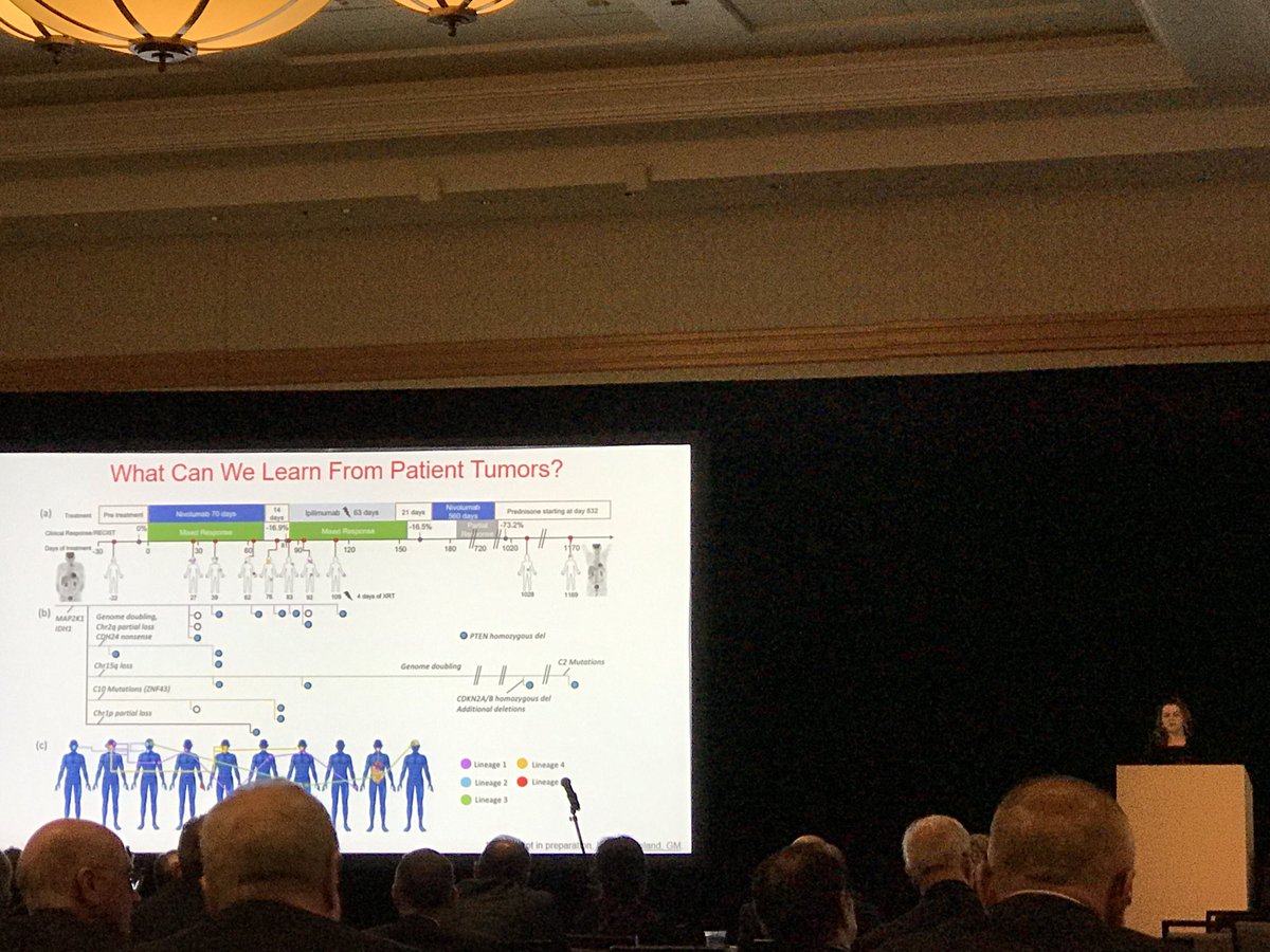 AdilHaiderMD's tweet image. .@gmboland winner of one the two #AmerSurg18 research fellowship awards presents her amazing work @MGHSurgery @broadinstitute @harvardmed - explains immunotherapy to Surgeons by saying it “helps the immune system SEE cancer” #awesomescience