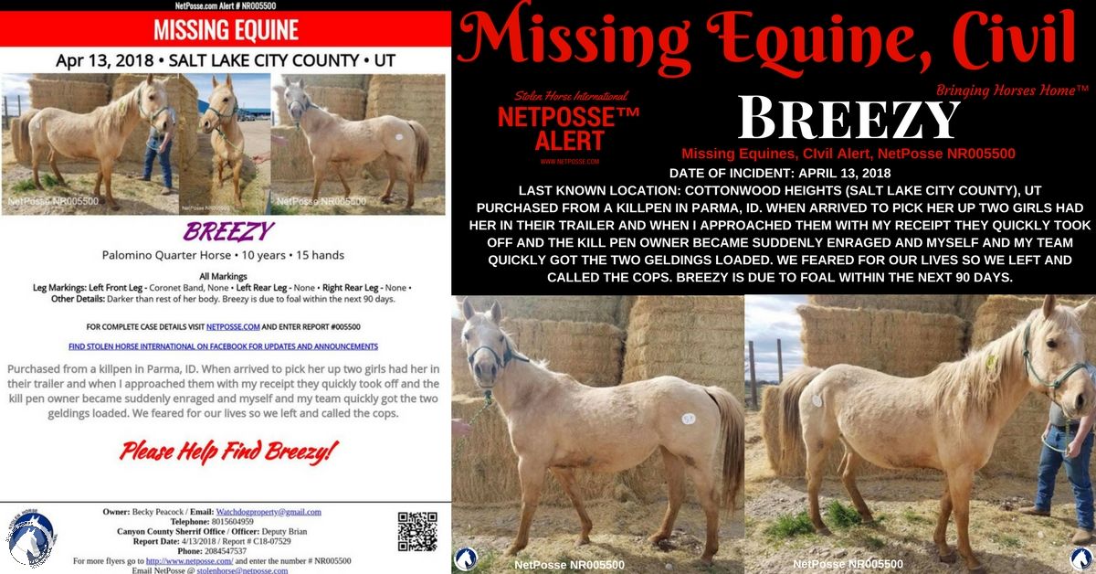 netposse's tweet photo. NetPosse™ Missing Horses Alert, Civil NR005500 for “Breezy”
Date of Incident: April 13, 2018
Last Known Location: Cottonwood Heights (Salt Lake City County), UT
Details: https://t.co/fY2tshVmCF
#HelpFindBreezy #Missing #Horse #Civil #BringingHorsesHome #NeverGiveUp #Utah https://t.co/q9td9QJbPT