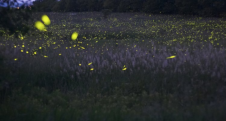 MIPE Solutions tweet media