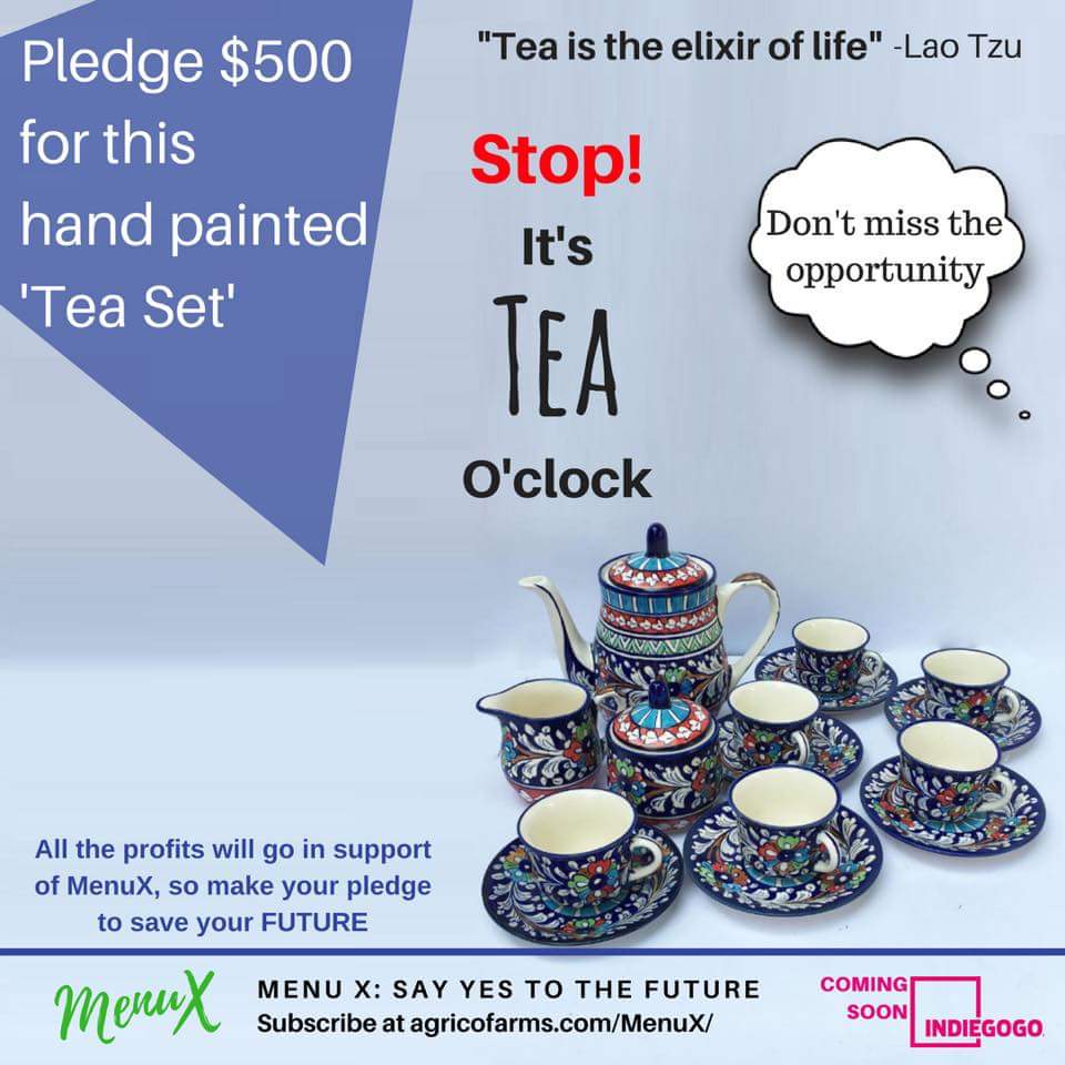 This eye catching tea set can be yours. Pledge on our campaign for this piece of art and in return you are saving the future of the world. Support our campaign on #indiegogo #startup

Subscribe at agricofarms.com/menux/ 

MenuX:say yes to the FUTURE
