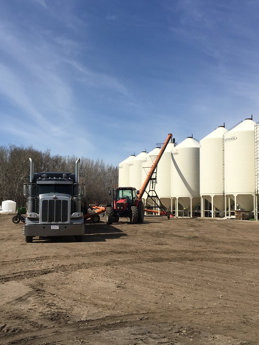 Melissa Drydyk tweet media