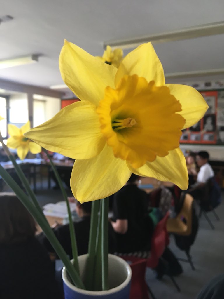 melhenrydg's tweet photo. Well that was a busy week in P7/6!
Fantastic week to start a series of biology lessons on plants π
We booked our end of year trip and got stuck right in to fractions!
#notscaredoffractionsanymore #tripexcitement #lifecycleofaplant #outdoorlearning @EdScotOL https://t.co/RRge4yTBxM