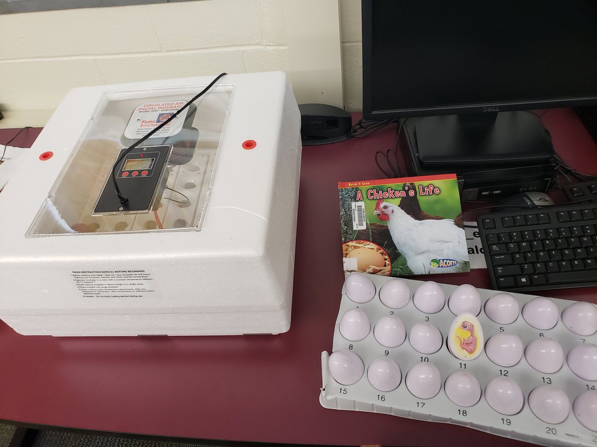 DrLoving11's tweet photo. Great day at Ettrick with 4H Embryology. @ettricklibrary, @EPICatEttrickES https://t.co/JVYa0WTgE8