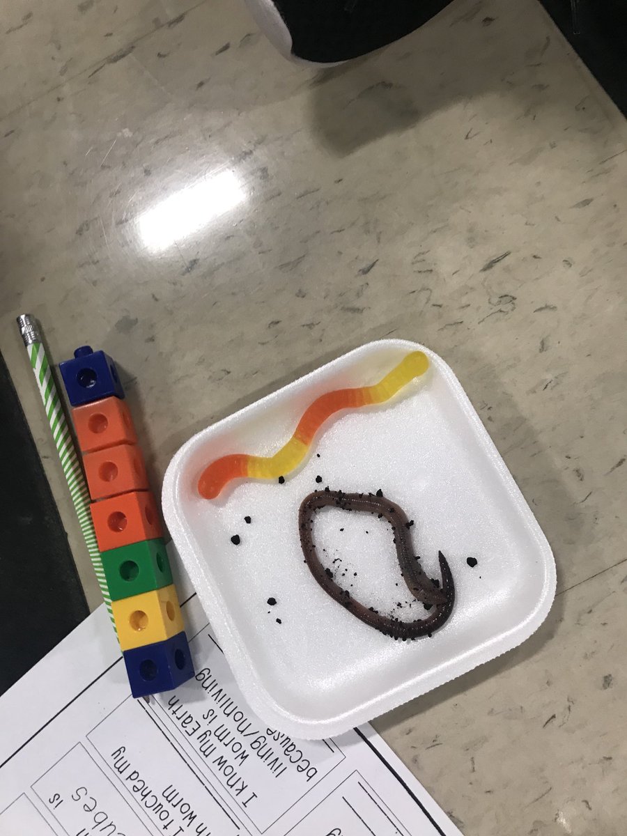 Brandy Hunt tweet media