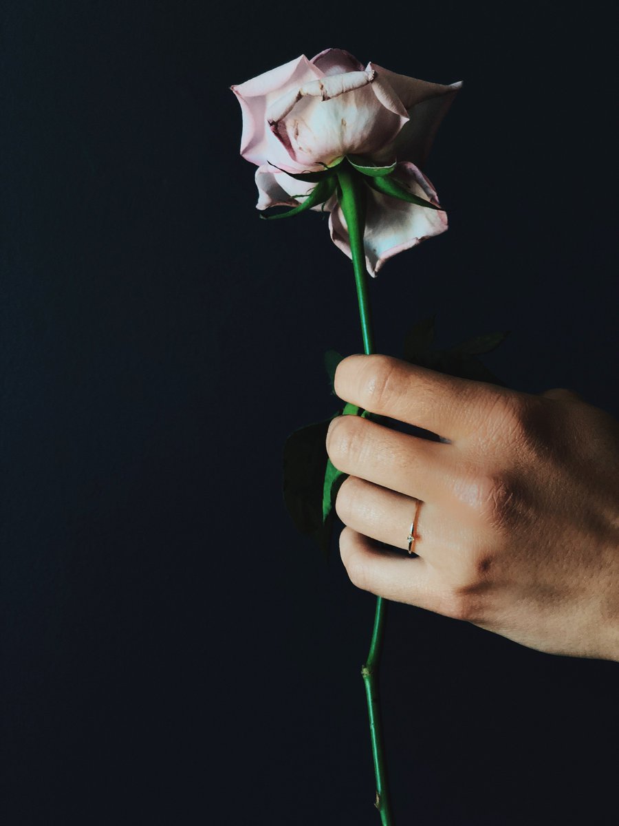 imalexbluenow's tweet photo. It is very weird trying to photograph your hand. But I’m happy to do it when I have the cutest #Engagementring of all time 💍 https://t.co/eX3Ci8dYi9