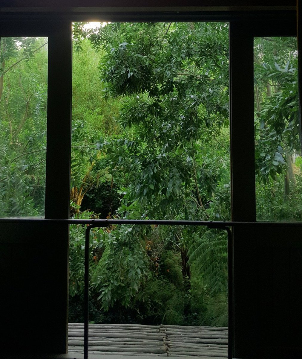 LittleAshCloud's tweet photo. An Airbnb Adventure https://t.co/qRGHtAllD5 https://t.co/p6B1StR6dg