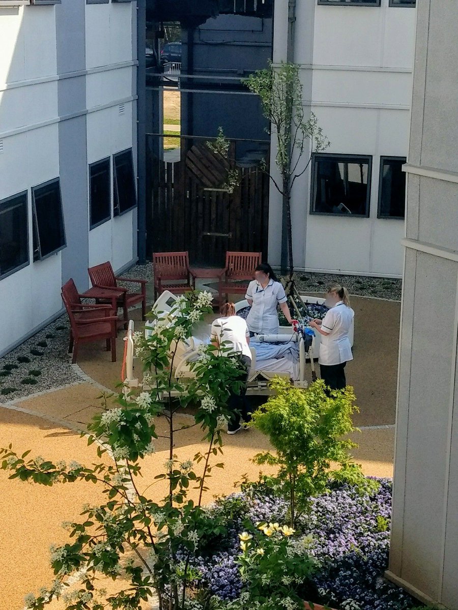 TamaeIso's tweet photo. What a fantastic day! Saw @broomfieldnhs #dementia #garden was used for #dementiacare on the hottest day of the year. It made me feel so proud and emotional. https://t.co/Sn3elOcDWz