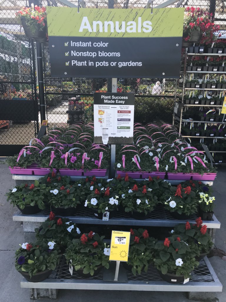 vwiAsheville's tweet photo. Okay spring, we are ready! #HD702 Kingsport, Tn @VWIGreenhouse @Jaydeckard @BryanhunterHall @jaybisping #vanwingerdenstyle https://t.co/15bljpLY5o