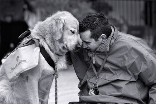 JesseVintage's tweet image. Mans best friend will forever be a dog. #dogsarelove