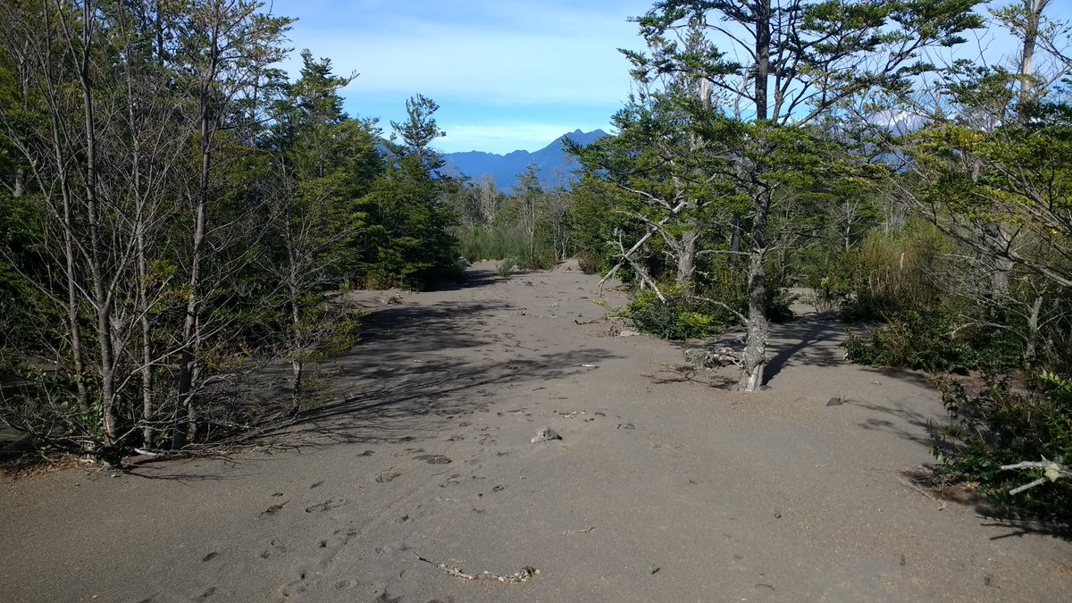 chilegeographic's tweet image. Este #Domingo 22 de Abril no te pierdas: A Prueba de Todo!  #Trekking Bajo la #Lluvia en el #Volcán Osorno - Una experiencia inolvidable. Sur de #Chile #Patagonia #Senderismo #Caminatas # #PuertoVaras #PuertoMontt Cupos limitados!  @Elena_De_Abril Whatsapp +56933086264