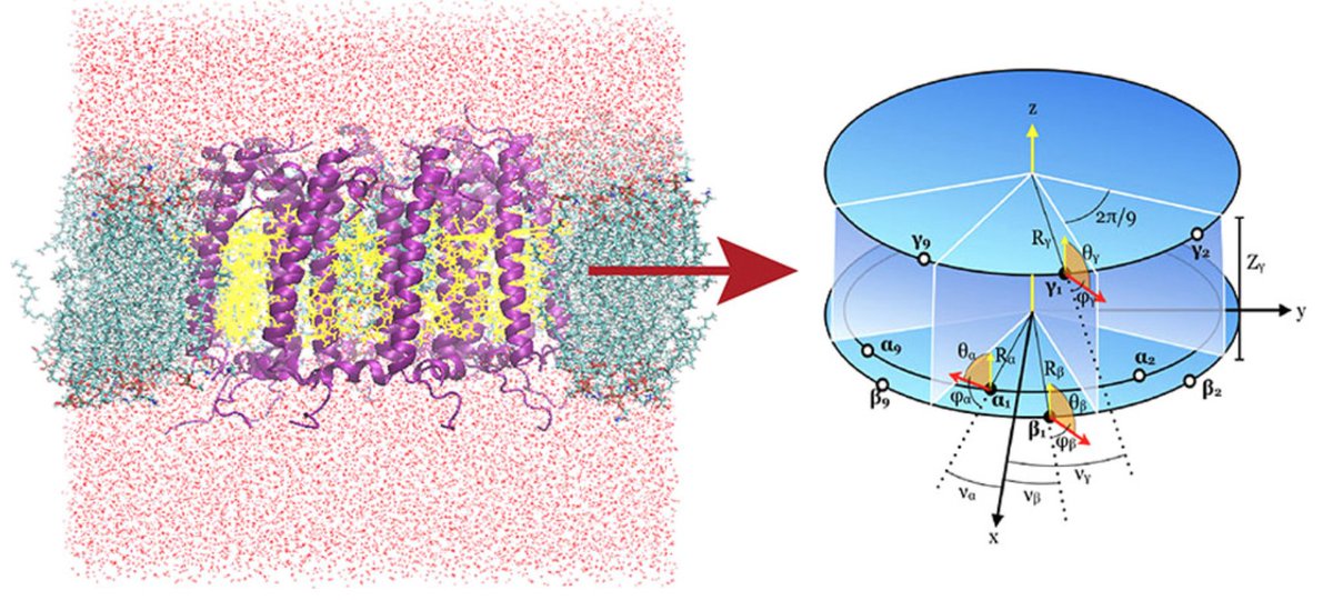 free physicochemical aspects of polymer surfaces