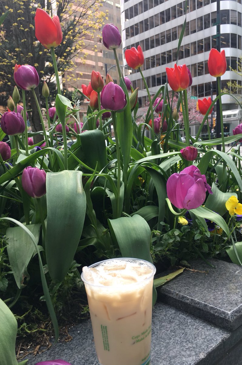 Mrosier79's tweet image. Celebrating a successful #DistributedEnergyResource standards panel with @49thParallel chai &amp;amp; housemade almond milk. Buried lede: Tulips! Cherry Blossoms! No snow!! #vancouverspring