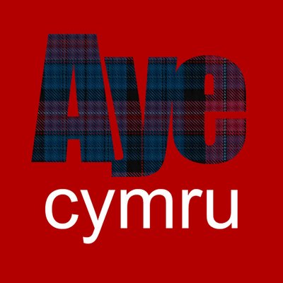 YesCymru's tweet photo. Taing mhòr do ar caraidean ann an Alba @AyeCymru airson an cuid taice. 'S fhiach Alba, A' Chuimrigh agus na dùthaichean eile gan fhlaitheas neo-eisimeileachd. Alba gu bràth. #GaelicTwitterDay https://t.co/w0rEP8Z6Ib