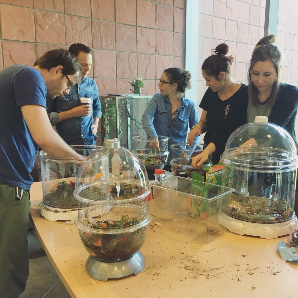 InsectFair's tweet image. We are decorating our beetles’ cages for 4th Annual Insect Fair! Don’t forget to come and check out our fantastic beetles next Saturday, April 28th, 2018 at Riverside Downtown! 
#insect #bugs #beetle #ucr #weekend #Saturday #funny #riversideinsectfair @UCRentomology