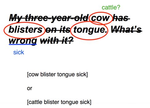 NYITLibrary's tweet image. How about [ “tongue” “blister” cow OR cattle site:edu ]? 👩🏽‍🔬 #google #searchtips