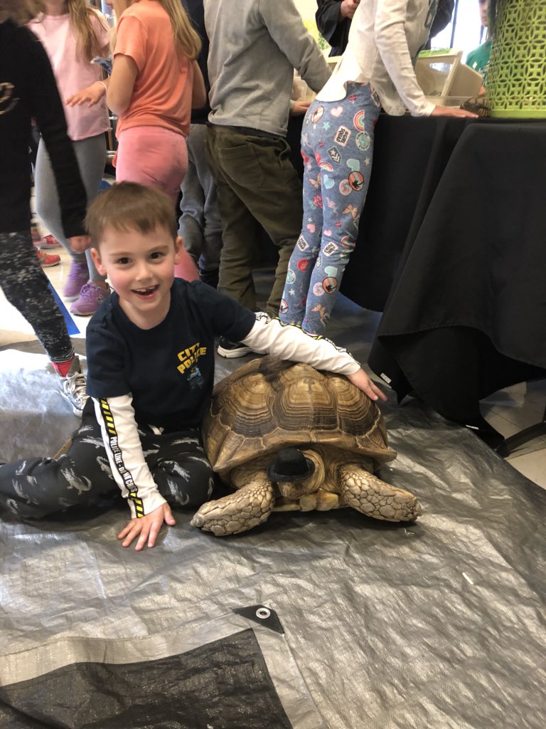 Amy March tweet media