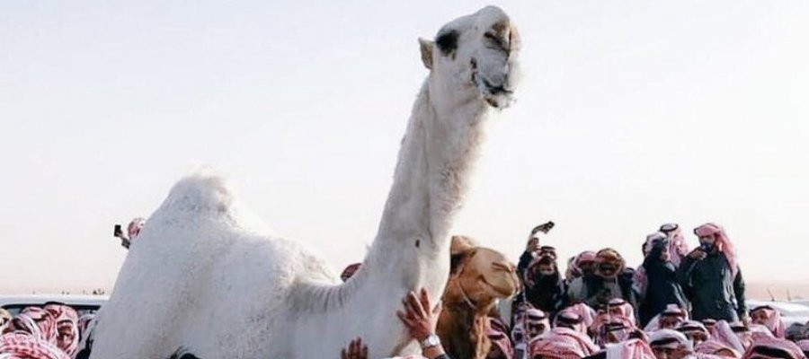 ahmed707 tweet picture