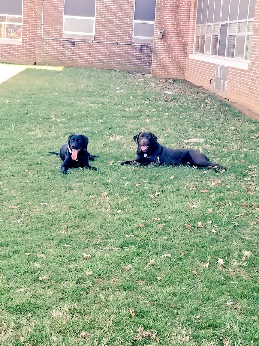 BrodeyNES's tweet photo. Play date with @AuroraDES4117! We had so much fun running and playing together. #WeAreNorthern https://t.co/4D6fz9LpRm