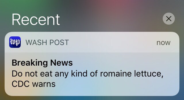 dorothysnarker's tweet photo. Oh, darn. No salad for lunch then. https://t.co/uhOGSceTQy