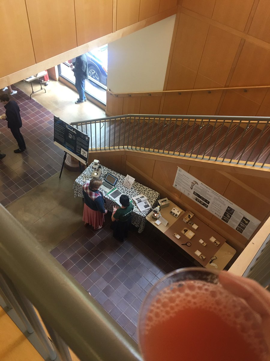 magjazzeva's tweet photo. Come down to the lower level of Miller and check out Lewis and clarks Natural History Collection ! They have refreshments 😤😤😤🙏🏼#rhms270 https://t.co/8FiiOQB6xj