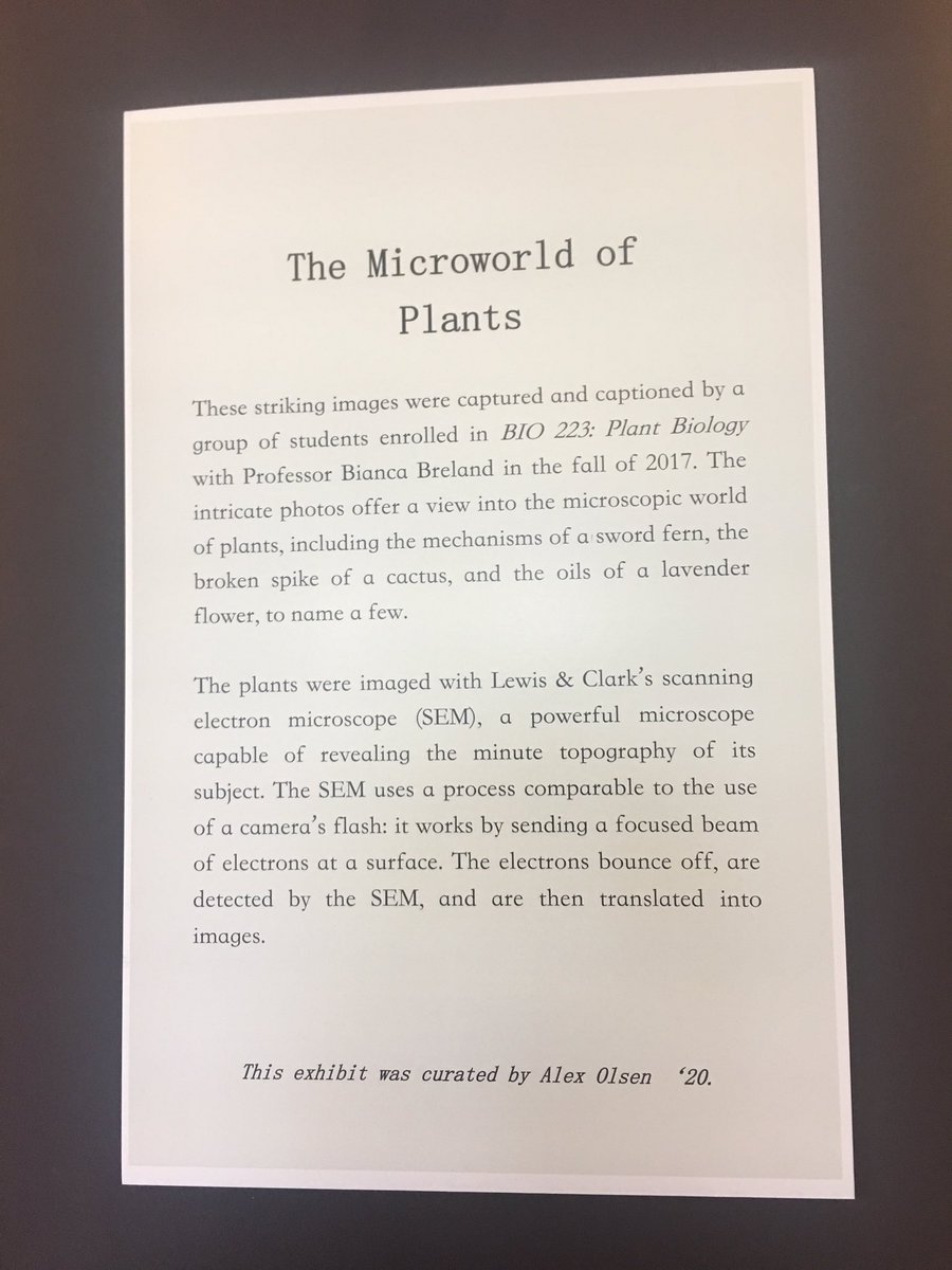 magjazzeva's tweet photo. Come down to the lower level of Miller and check out Lewis and clarks Natural History Collection ! They have refreshments 😤😤😤🙏🏼#rhms270 https://t.co/8FiiOQB6xj