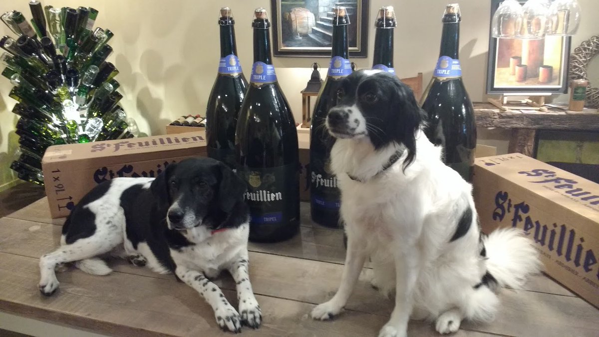 Zelfs onze honden begrepen er niets meer van....Bier bij <a href="/Bloemleeuwarden/">Henri Bloem - wijn</a> ....on special request.... 45 Liter St. Feuillien Triple!