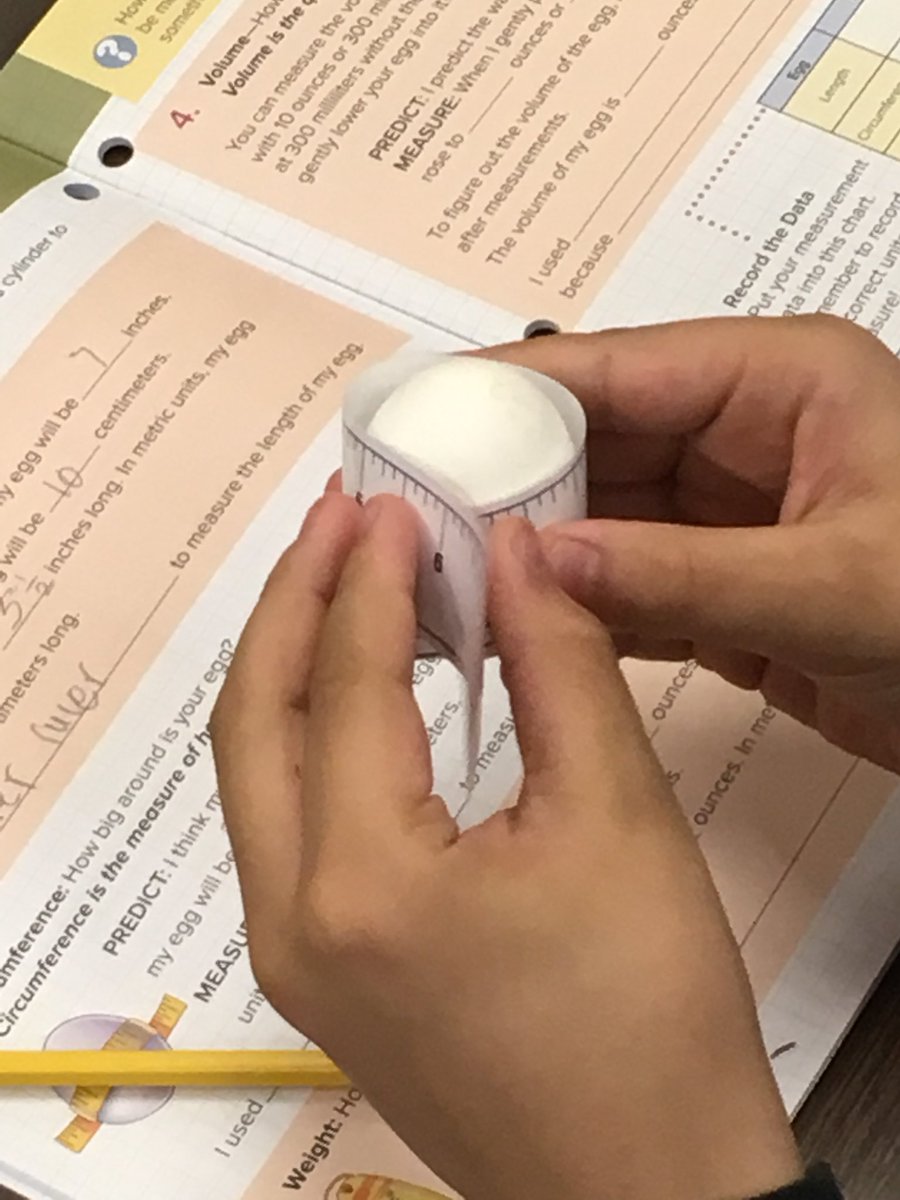 MrsForino's tweet photo. Can we decide what size eggs Mrs. Forino bought at the store? Which measurement will help us? #mathhappenseverywhere @MissMcMannis ๐ฅ๐ https://t.co/WSSx6BnTna