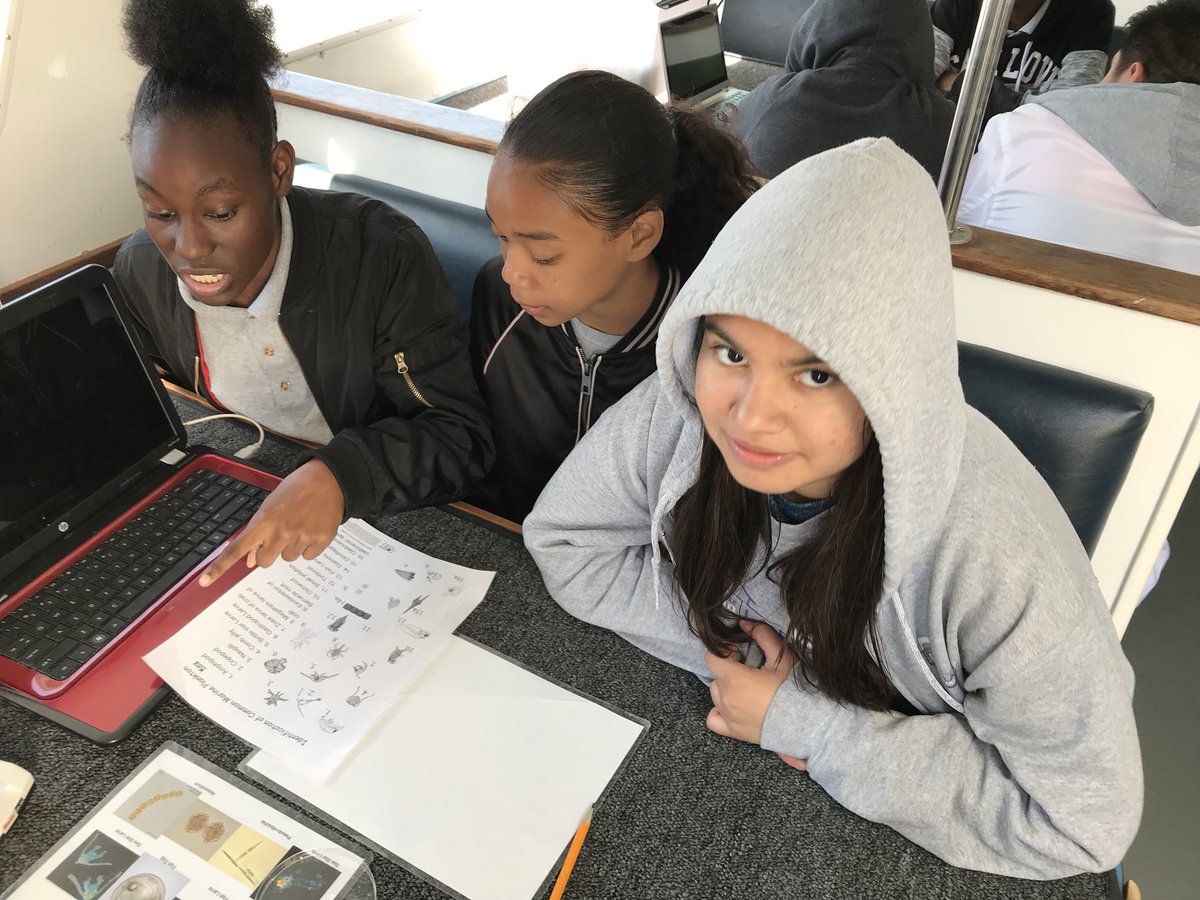 lapchs1's tweet photo. Ending our trip going over the data and looking at microorganisms from our samples. #youvegotourpromise #learningisfun #sciencefriday #scienceisfun https://t.co/PWWQrrRiDC