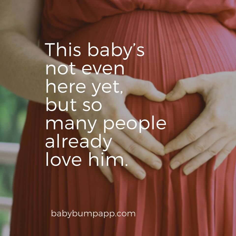 Baby Bump tweet media