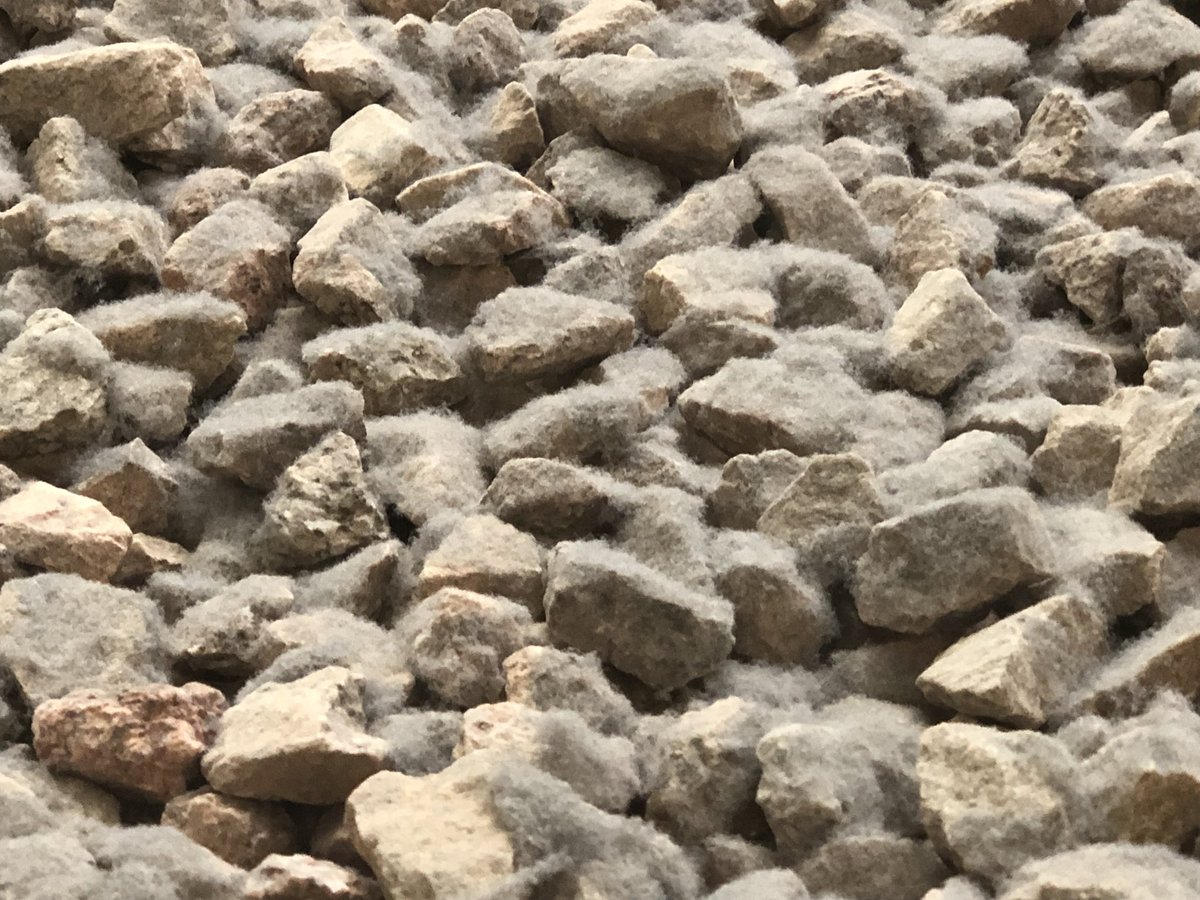 matthewb75's tweet photo. @PHXSkyHarbor Please clean the spaces that you wouldn’t normally think to. There’s at least a quarter inch of dust/dirt/etc. up here around the parameter of the mezzanine level all over the rocks. Bad for allergies etc. consider your indoor air quality please. https://t.co/Re4FfCuRTL